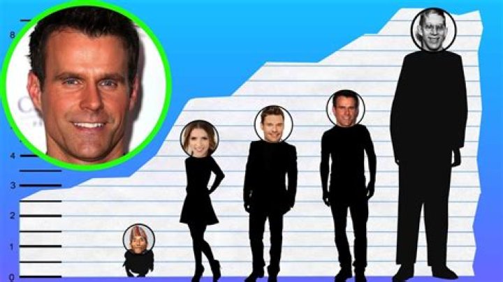 Cameron Mathison Biography, Height & Life Story Super Stars Bio