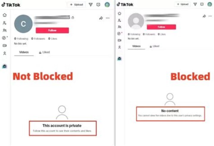 Can Blocked Individuals Still View Your TikTok?