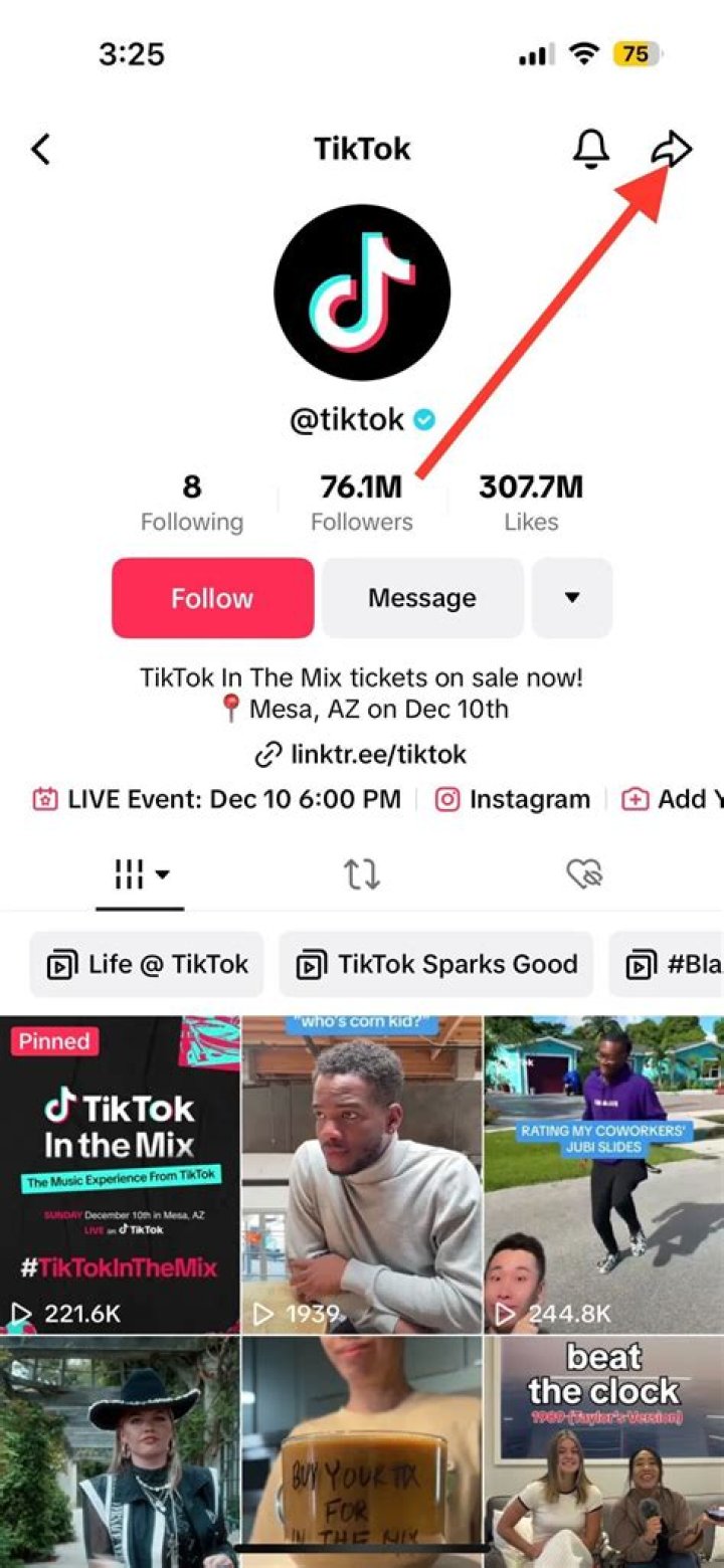 Can Blocked TikTok Users Still View Your Messages?