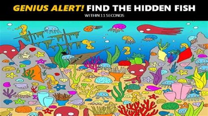 Can you find the hidden fourth object in this image? The majority of