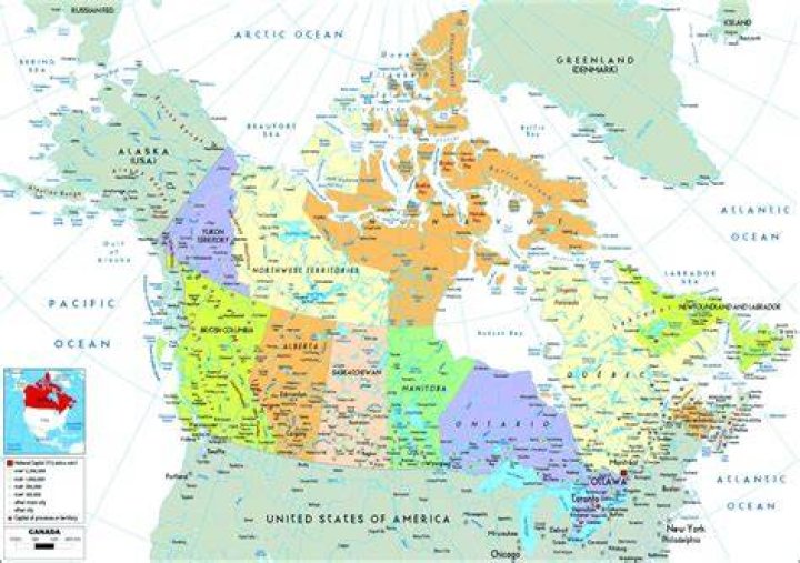 Canada reazione Forse how the grinch stole christmas streaming 1966