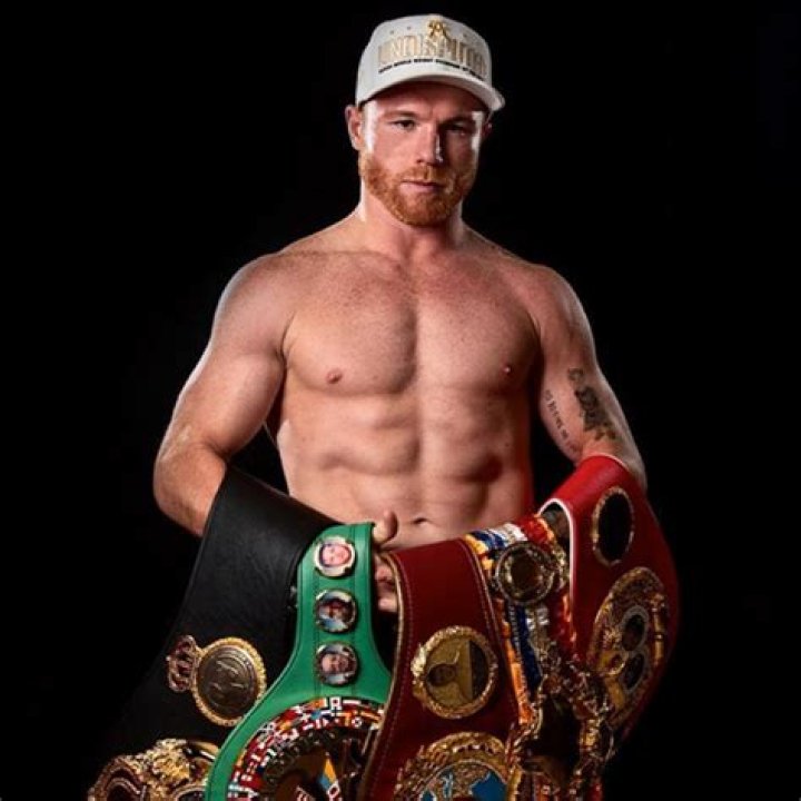 Canelo Alvarez Bio, family, net worth Celebrities InfoSeeMedia