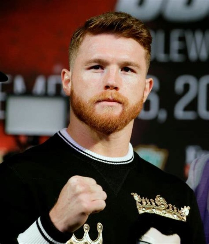 Canelo Alvarez suspended for 6 months for doping violations Breitbart