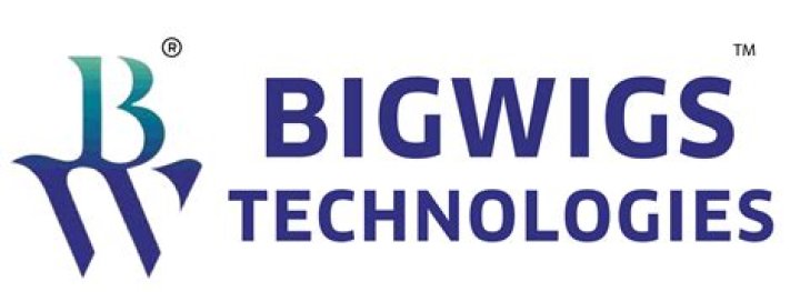 Careers BigWigs Technologies