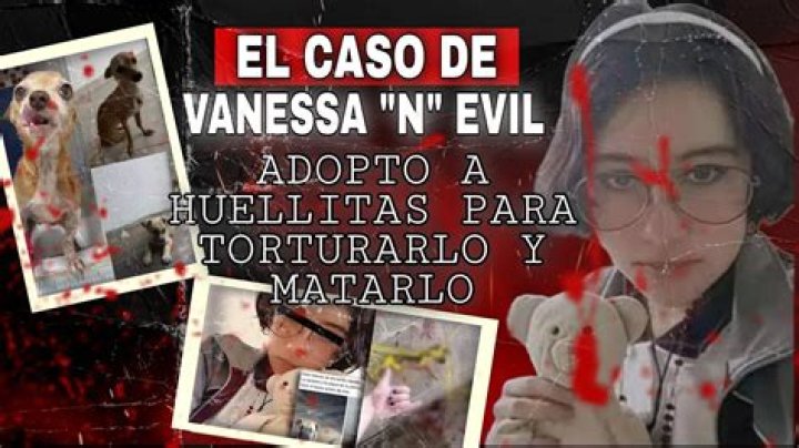 Caso Huellitas Vanessa tiene m&aacute;s v&iacute;ctimas de maltrato animal