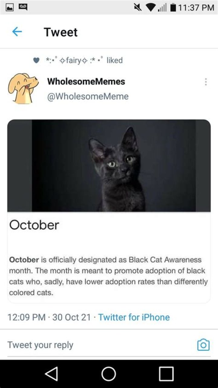 Cat on Twitter "RT WendellPierce The Met Gala 2023."