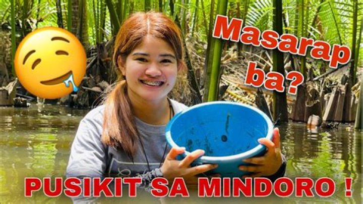 Catch and Cook Pusikit Oriental Mindoro KaMangyan Vlogs YouTube