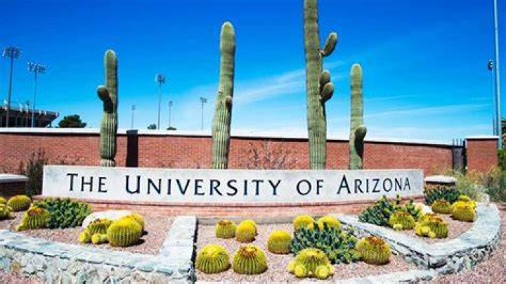Catching up with Arizona State men's golf coach Tim Mickelson