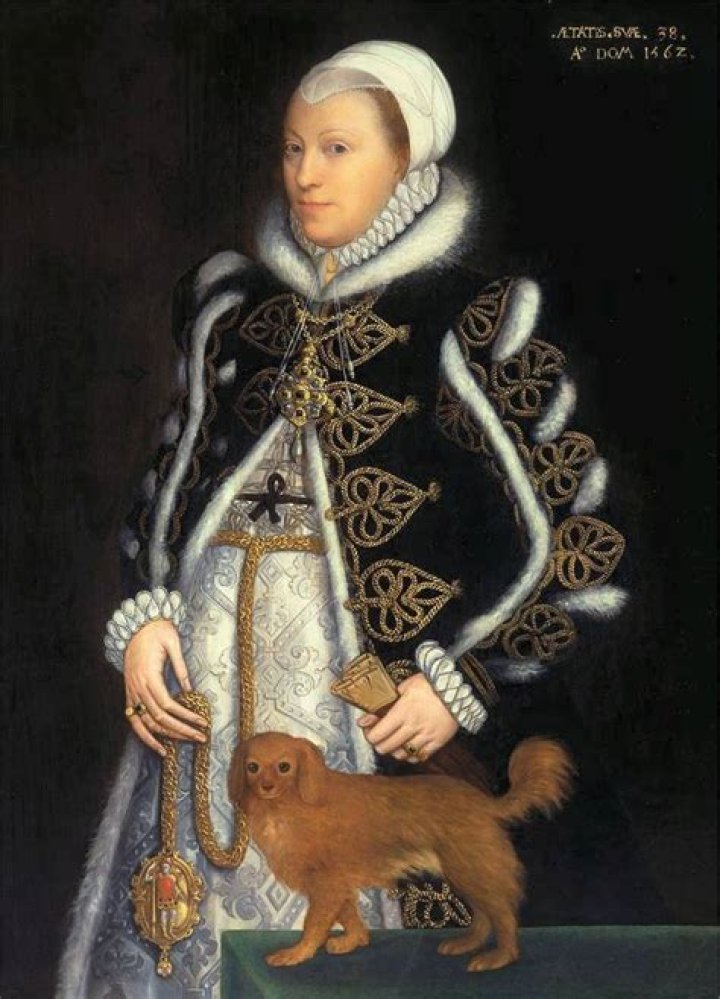 Catherine Carey Sinn F&eacute;in
