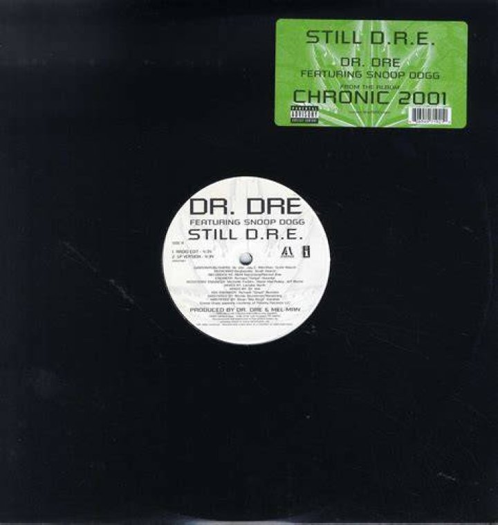 CDS___SINGLES____COLECTION________________ Dr. Dre Still D.R.E. (CDS)
