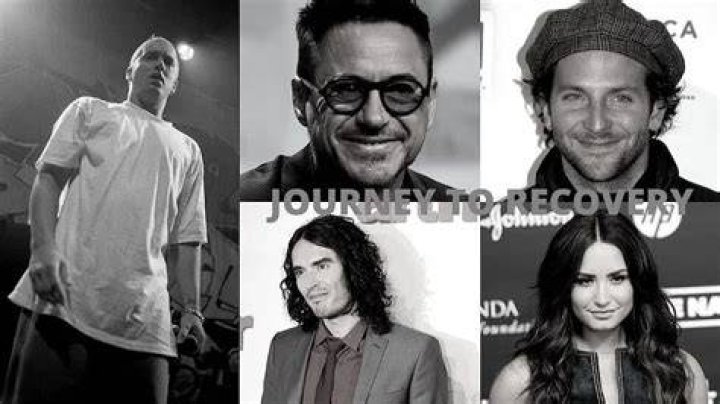 Celebrities in Recovery Famous Faces Who've Struggled With Addiction
