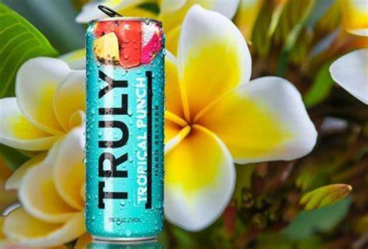 Celebrity Hard Seltzers That Need To Happen Seltzer Nation