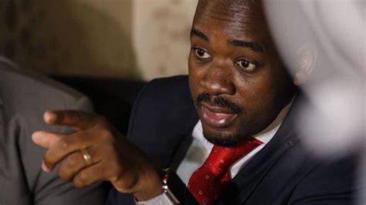 Chamisa lacks connection with the youth, says Chan . . . no parallels