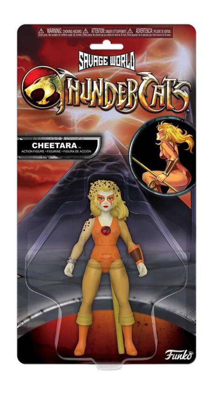 Cheetara ThunderCats wiki Fandom