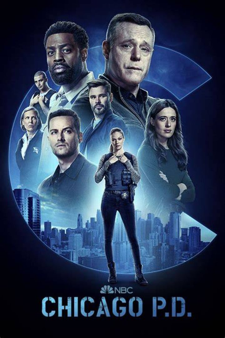 Chicago Police Chicago Pd Cast, Chicago Family, Chicago Shows, Chicago