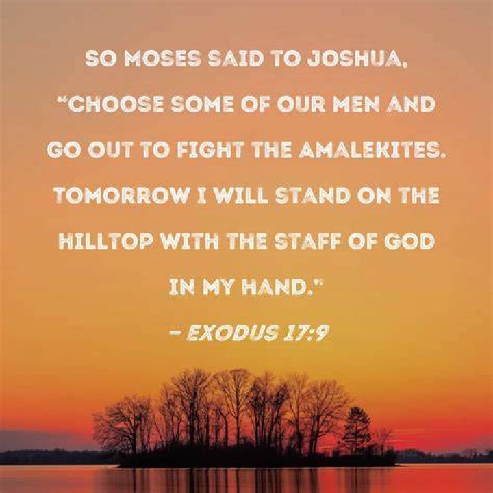 "Choose A Partner You Can Go To War With" Bible Verse
