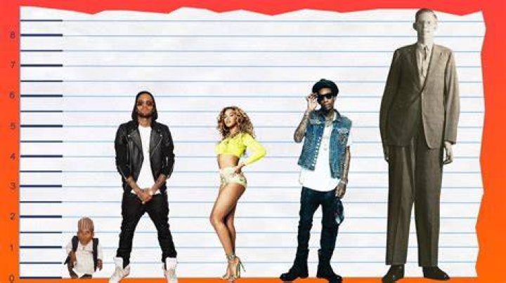 Chris Brown Height, Weight, Measurements & Bio Celebie