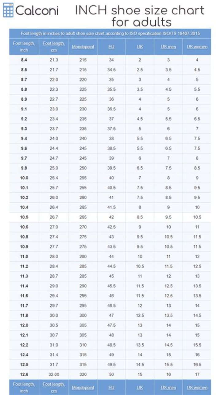 Chris Stapleton Shoe Size and Body Measurements Celebrity Shoe Sizes