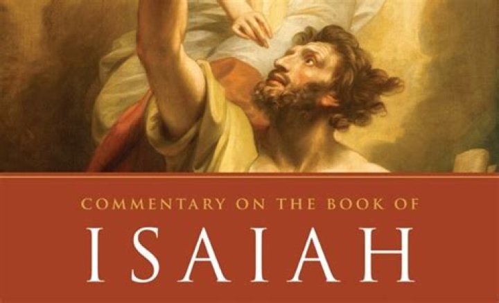 Christian Isaiah talks about 'Shameless,' Vin Diesel, digital age