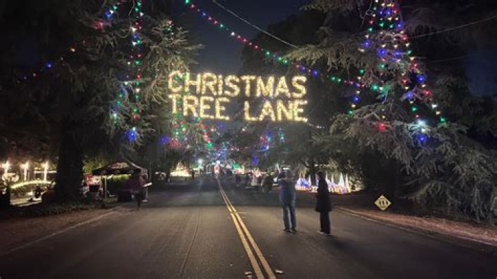 Christmas Tree Lane A Holiday Tradition in Altadena California