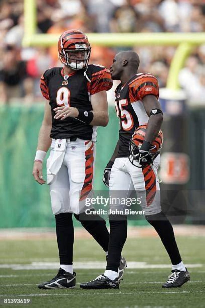 Cincinnati Bengals Carson Palmer, Chad Ochocinco and Other Bengal