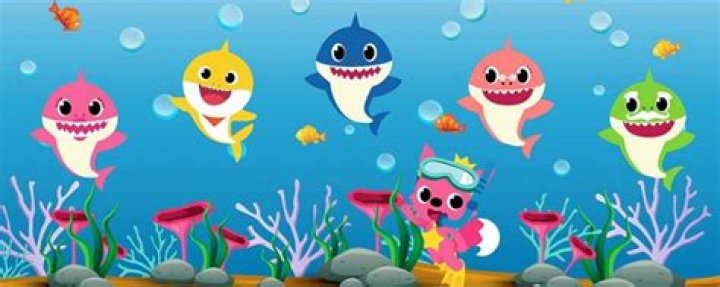 Como nascem os Baby Sharks de verdade Divers for Sharks