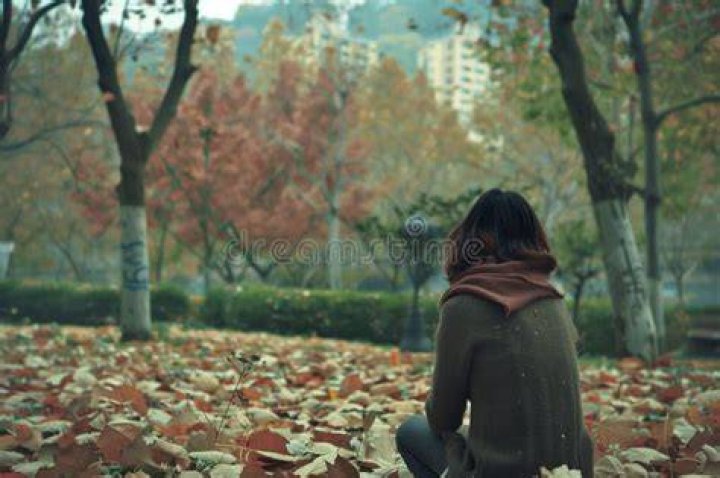 Contemplating autumn's wonders on Behance