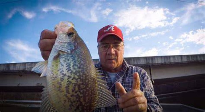 CRAPPIE FISHING with RICHARD GENE THE FISHING MACHINE ! ! ! YouTube
