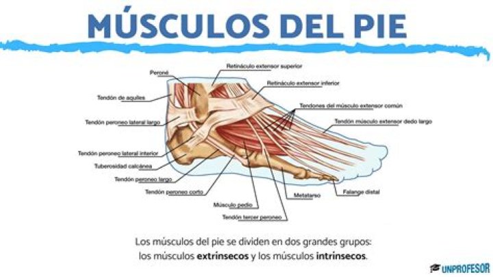 Cr&oacute;nico D&iacute;a del Ni&ntilde;o posibilidad sistema control de traccion bar As