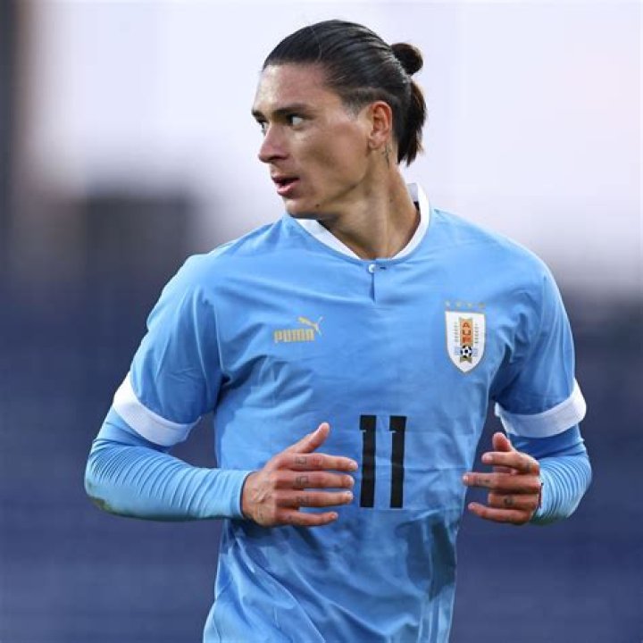 Darwin Nunez Profile