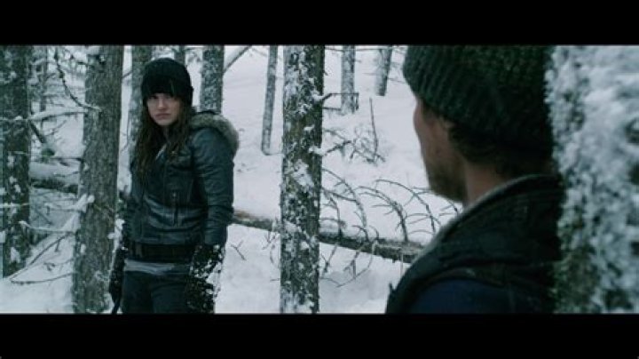 Daughter of the Wolf (2019) — The Movie Database (TMDB)