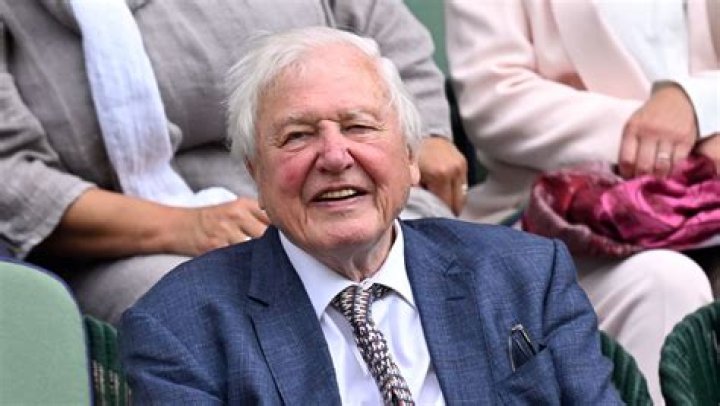 David Attenborough's Well-being And The Rumors Debunked