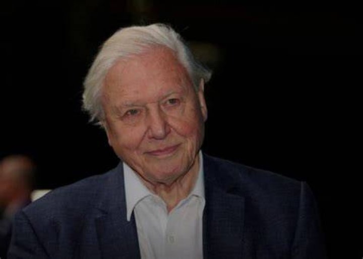 David Attenborough leads call for world to invest 500 billion a year