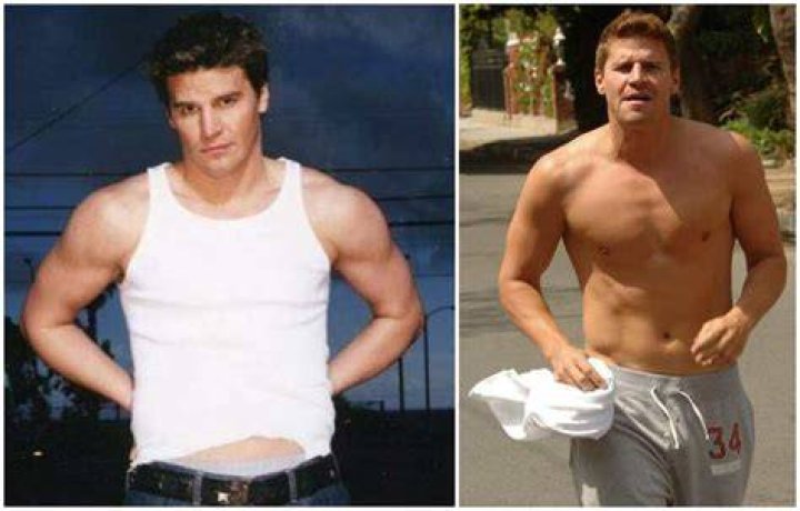 David Boreanaz Height, Weight, Age, Body Statistics Healthy Celeb