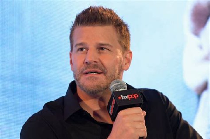 David Boreanaz Net Worth (2020 Update)