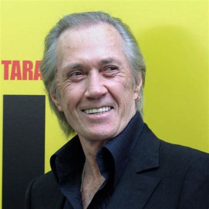 David Carradine Facts, Bio, Career, Net Worth AidWiki