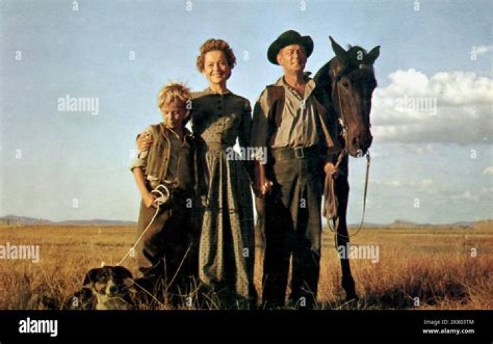 David Ladd Movies, Bio and Lists on MUBI