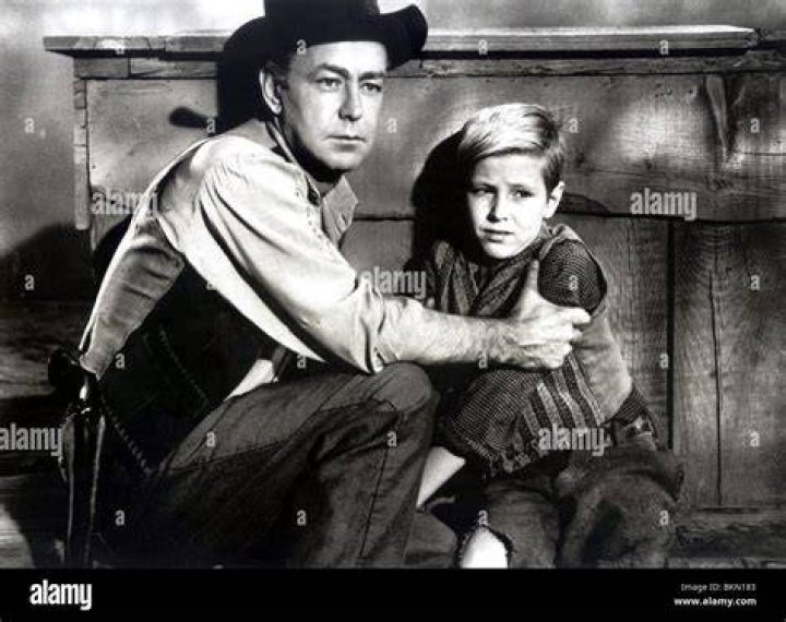 David Ladd