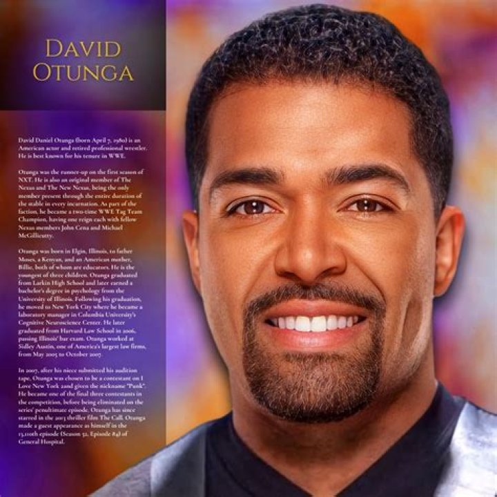 David Otunga Wikipedia