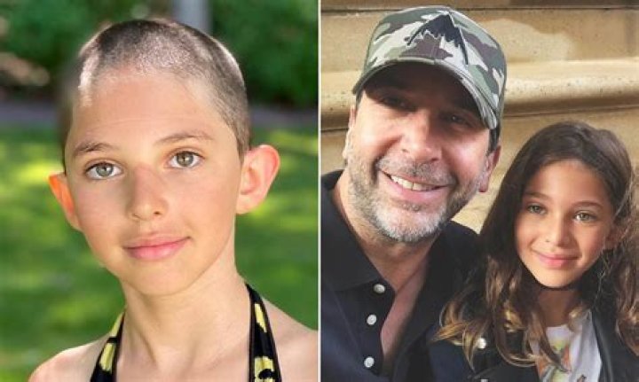 David Schwimmer Daughter Shaved Head / David Schwimmer's Daughter Cleo