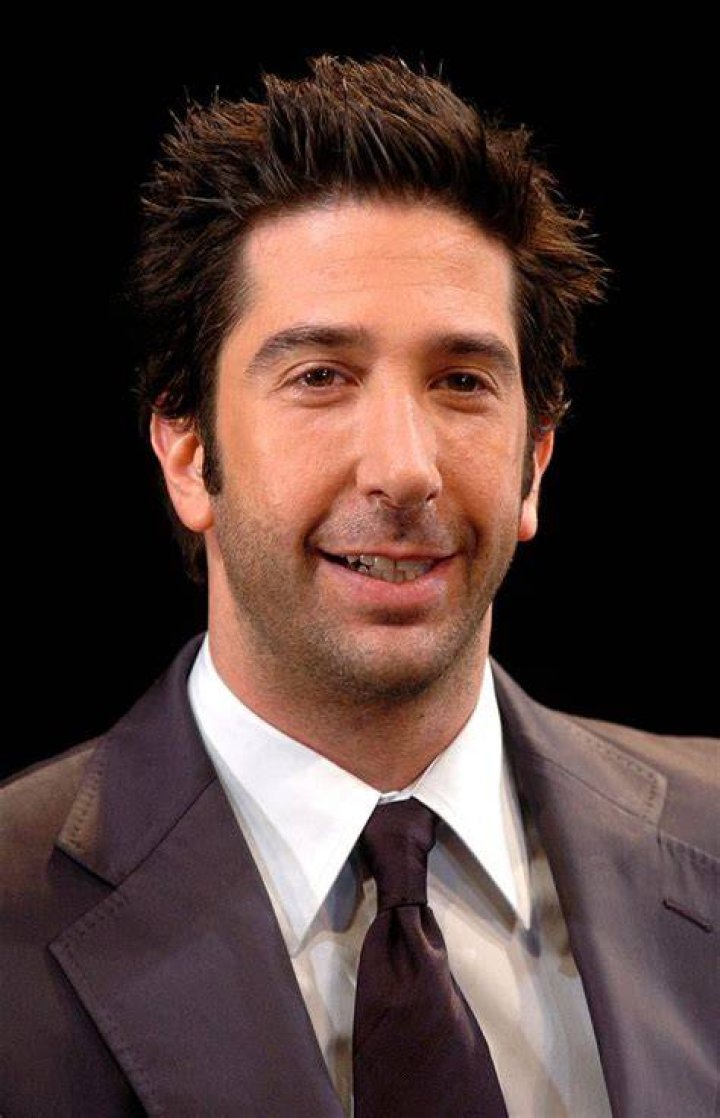 David Schwimmer Ethnicity David Schwimmer bio age, wife, kids