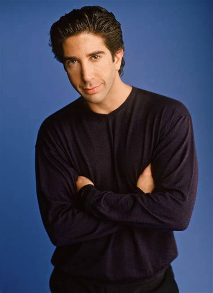 David Schwimmer Friends Central Fandom