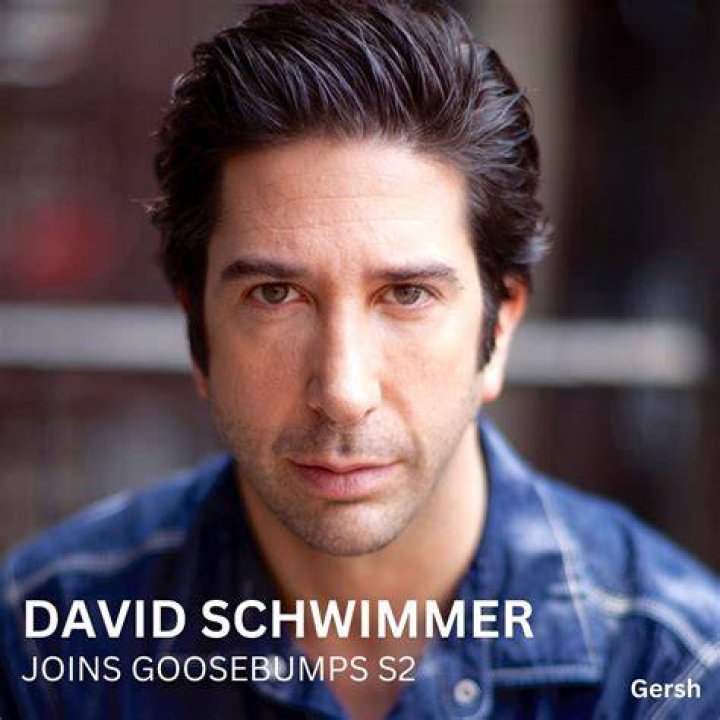 David Schwimmer Latest News, Pictures & Videos HELLO!