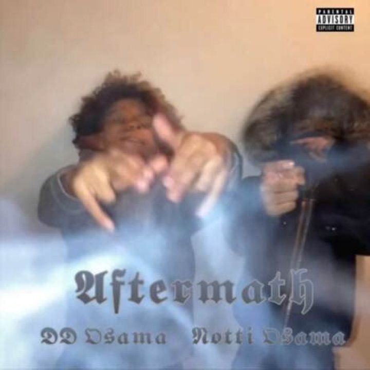 DD Osama Aftermath Lyrics Genius Lyrics