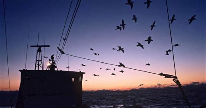 Deadliest Catch Star 'Wild' Bill Wichrowski Reveals What Keeps Him