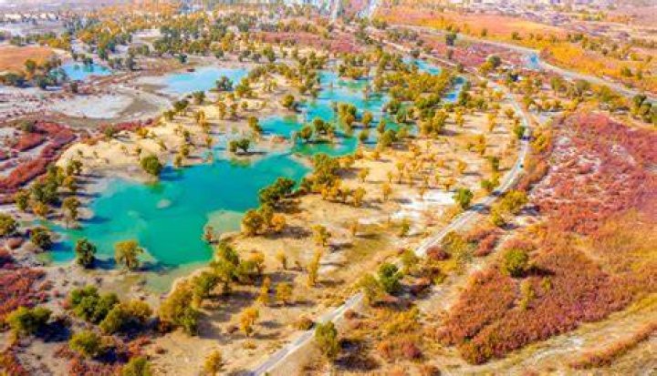 Desert, river, trees create picturesque autumn scenery in NW China CGTN