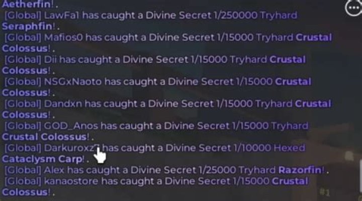Devine Secrets 62 Eliza Cct, Port Macquarie NSW 2444, Australia