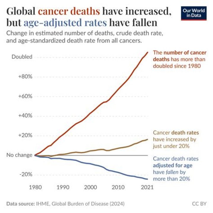 Did Cancer Cause The Death Of Model Gail O Neill? The Truth!