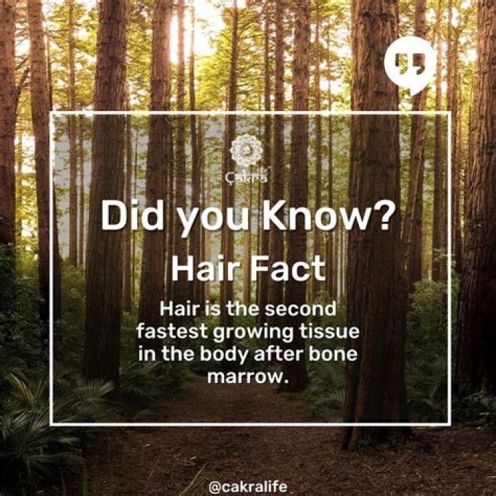 Did you know? Hair is more than just strands on our heads. 🌟 Discover