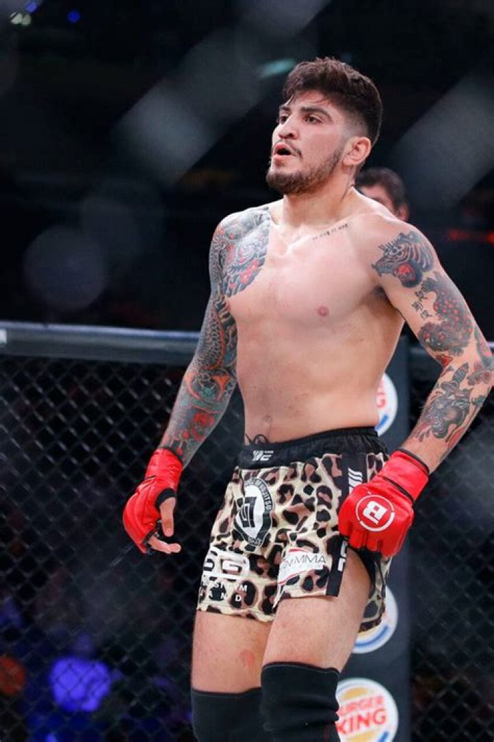 Dillon Danis Multiple Times World MMA Champion Elite Sports